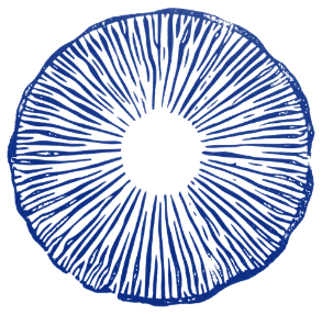 Símbolo espora azul